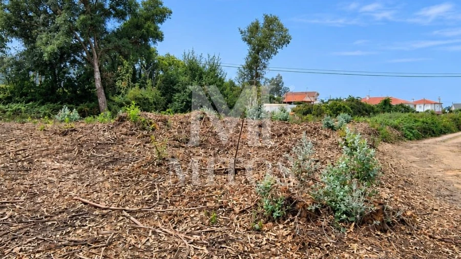 Terreno para Venda em Durrães e Tregosa