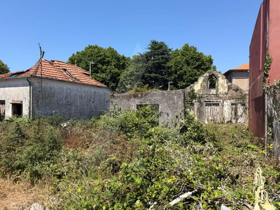 Terreno para Venda em Paranhos Foto 14