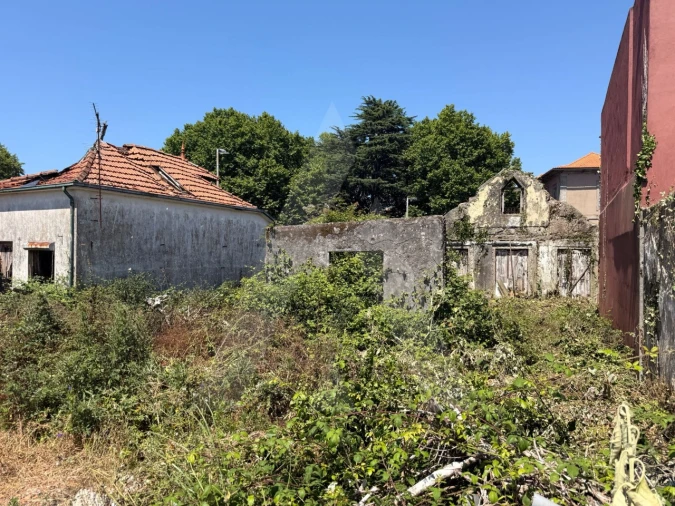 Terreno para Venda em Paranhos Foto 14