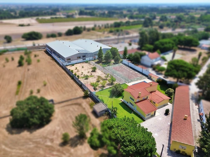 Quinta T3 para Venda em Palmela Foto 3