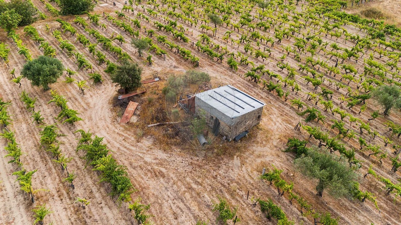 Terreno para Venda em Alverca da Beira/Bouça Cova Foto 15