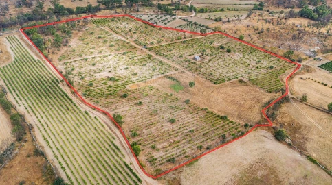 Terreno para Venda em Alverca da Beira/Bouça Cova