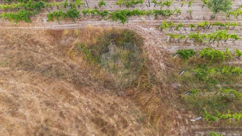 Terreno para Venda em Alverca da Beira/Bouça Cova