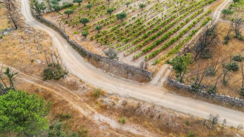 Terreno para Venda em Alverca da Beira/Bouça Cova