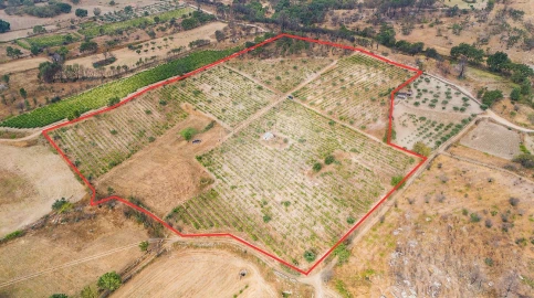 Terreno para Venda em Alverca da Beira/Bouça Cova