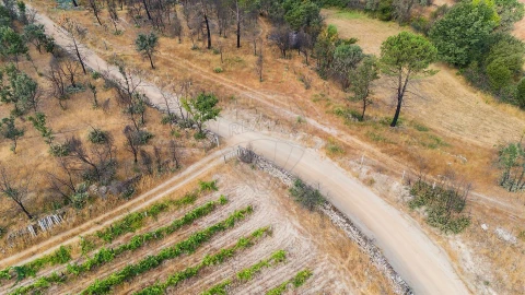 Terreno para Venda em Alverca da Beira/Bouça Cova