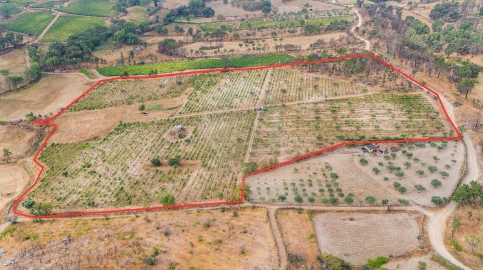 Terreno para Venda em Alverca da Beira/Bouça Cova