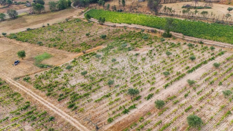 Terreno para Venda em Alverca da Beira/Bouça Cova