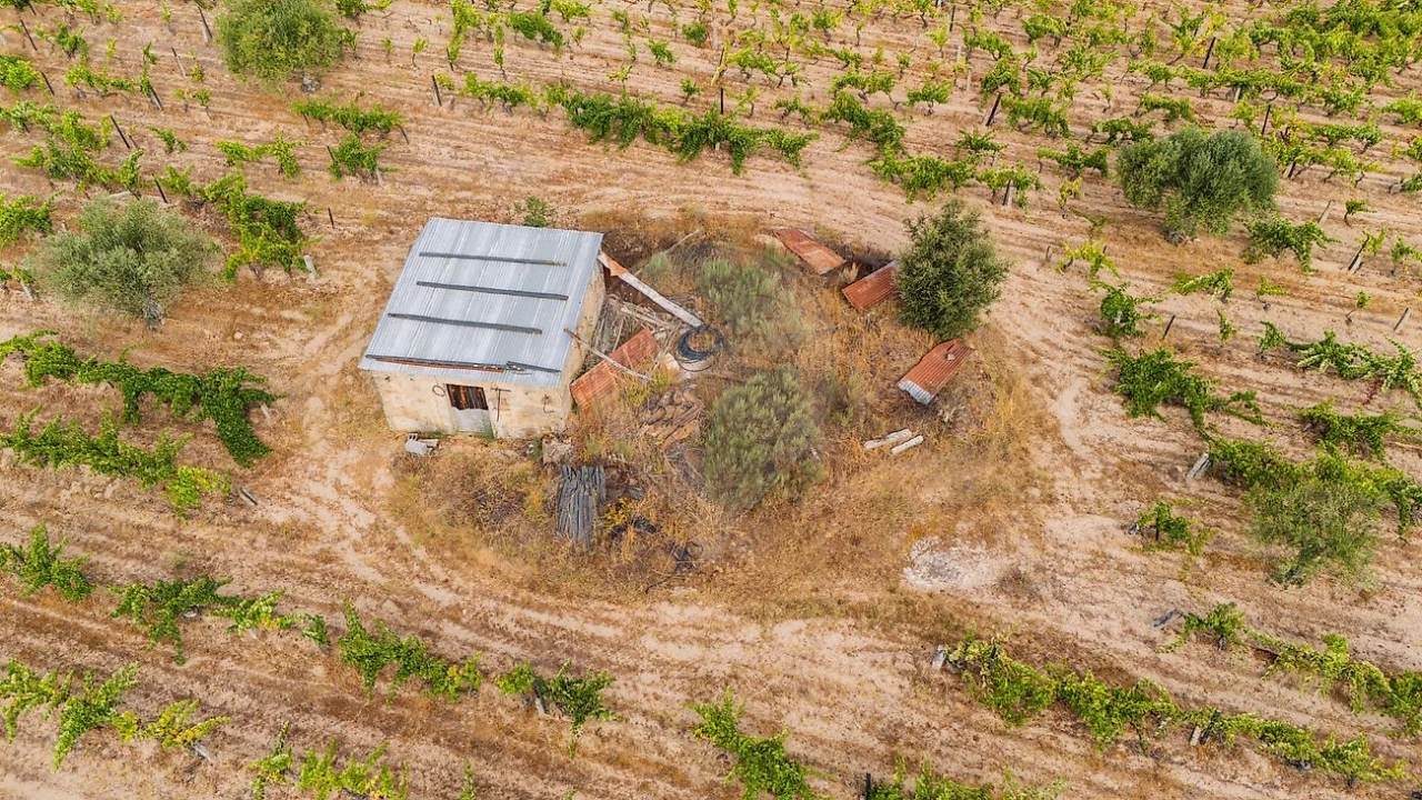 Terreno para Venda em Alverca da Beira/Bouça Cova Foto 13
