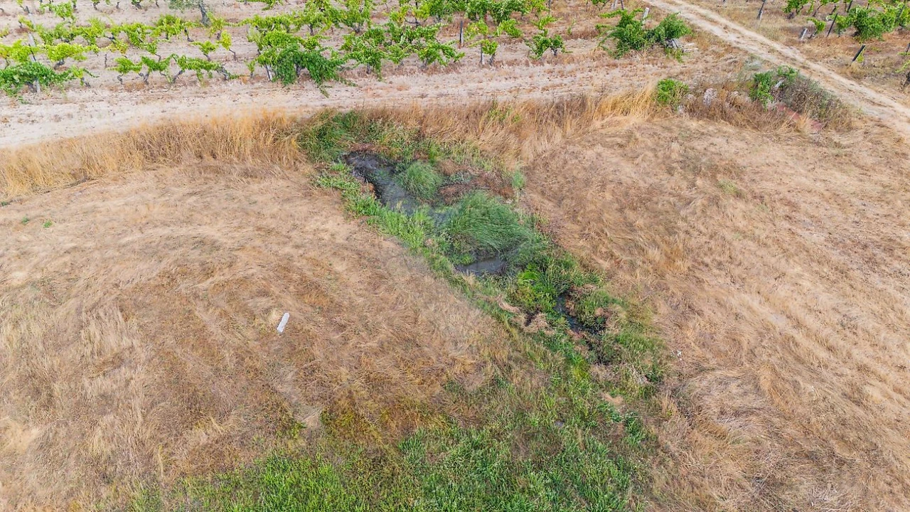 Terreno para Venda em Alverca da Beira/Bouça Cova Foto 14