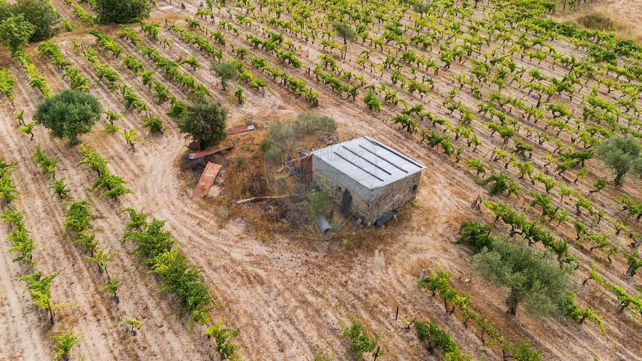 Terreno para Venda em Alverca da Beira/Bouça Cova Foto 15