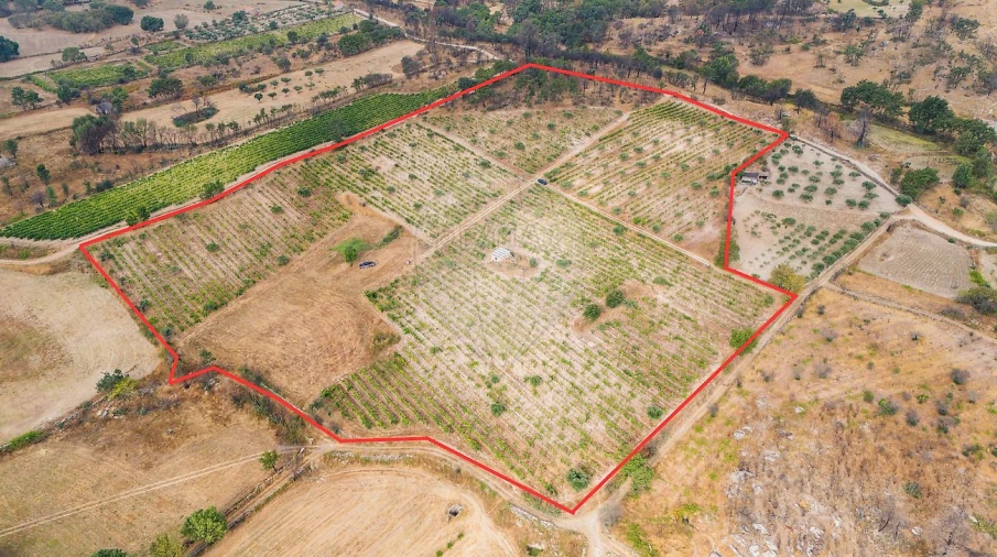 Terreno para Venda em Alverca da Beira/Bouça Cova Foto 2