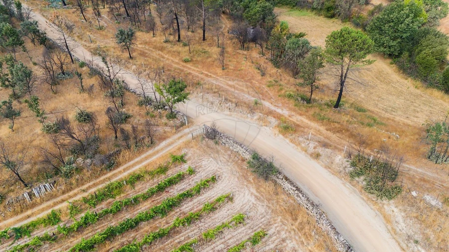 Terreno para Venda em Alverca da Beira/Bouça Cova Foto 10