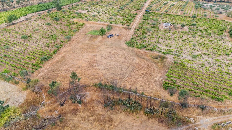 Terreno para Venda em Alverca da Beira/Bouça Cova Foto 17