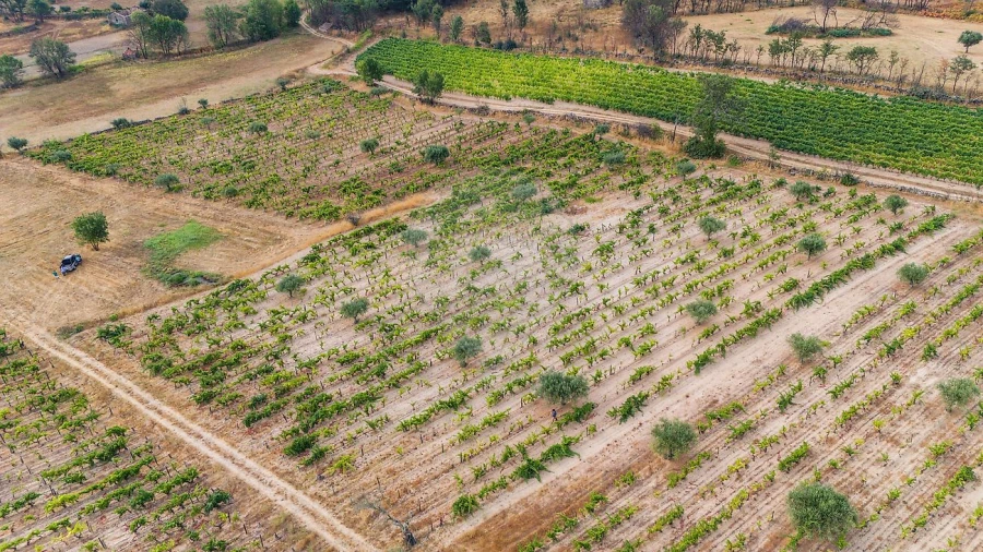 Terreno para Venda em Alverca da Beira/Bouça Cova Foto 6