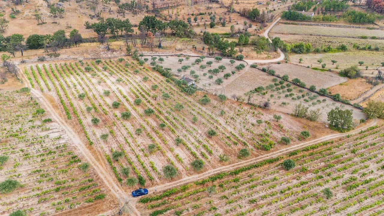 Terreno para Venda em Alverca da Beira/Bouça Cova Foto 5