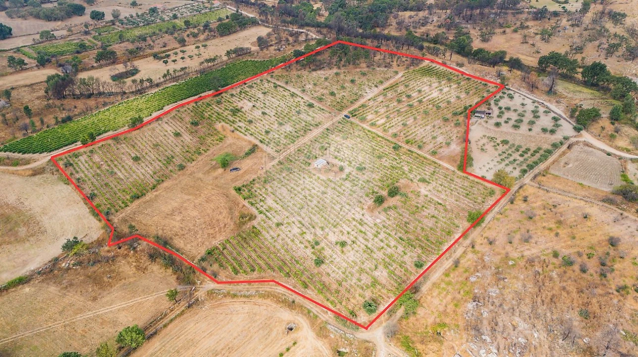 Terreno para Venda em Alverca da Beira/Bouça Cova Foto 2