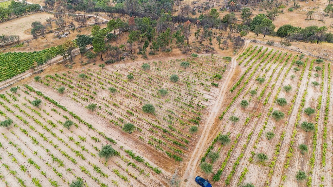 Terreno para Venda em Alverca da Beira/Bouça Cova Foto 7