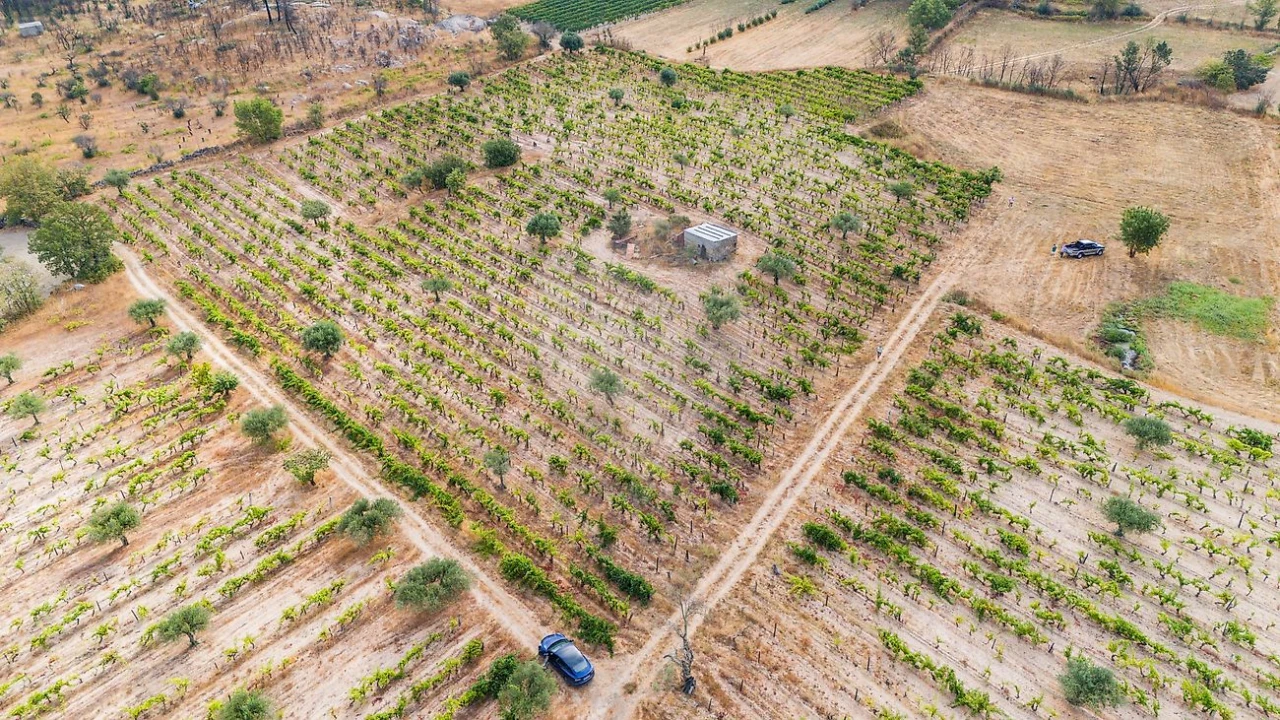 Terreno para Venda em Alverca da Beira/Bouça Cova Foto 8
