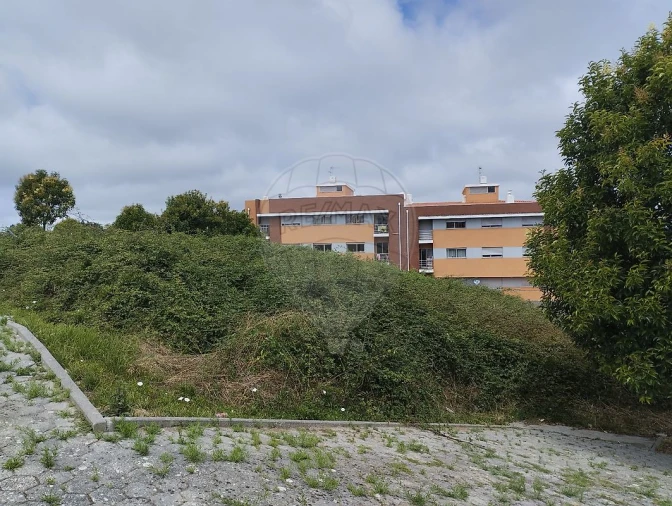 Terreno para Venda em Argoncilhe Foto 4