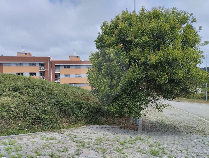 Terreno para Venda em Argoncilhe Foto 2