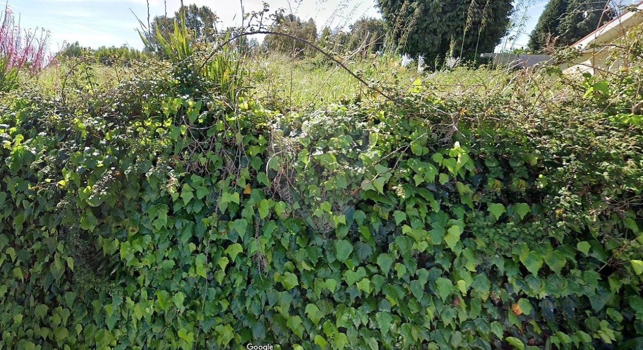 Terreno para Venda em Grijó e Sermonde Foto 2