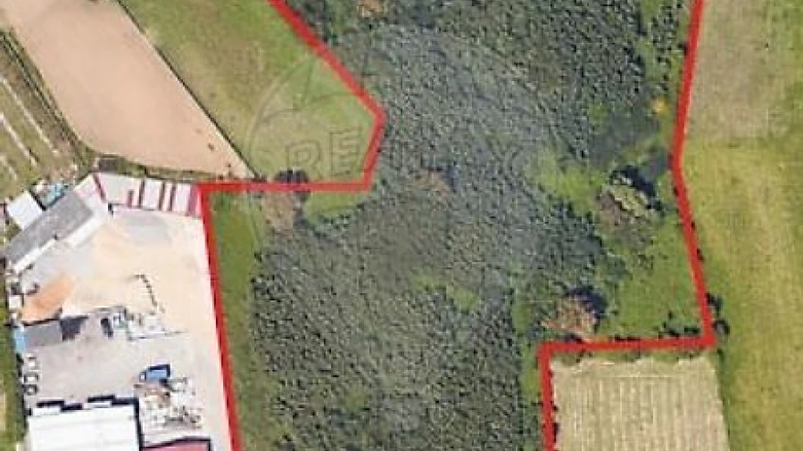 Terreno para Venda em Grijó e Sermonde