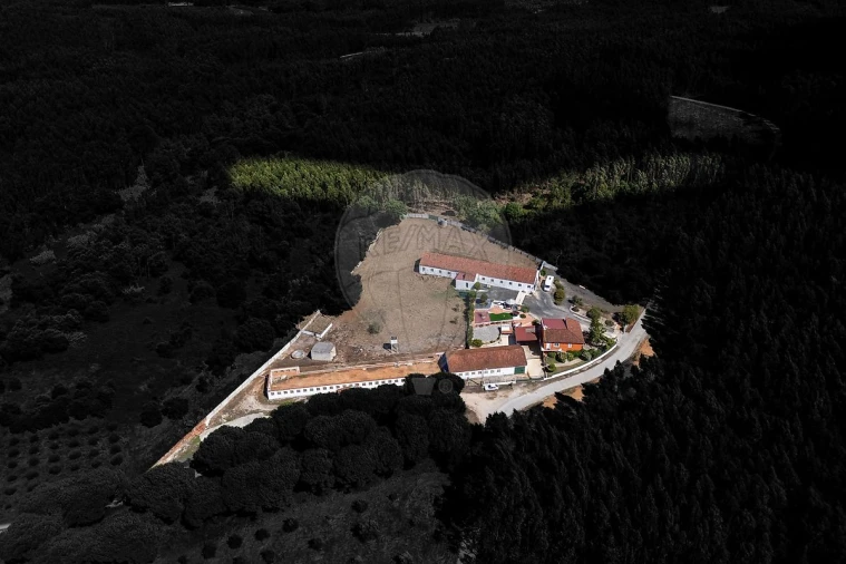 Moradia T3 para Venda em Alcobertas Foto 47