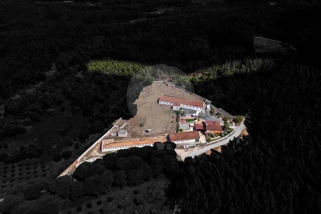 Moradia T3 para Venda em Alcobertas Foto 47