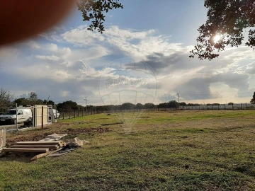 Terreno para Venda em Vendas Novas