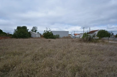 Armazém para Venda em Pegões