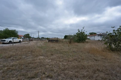 Armazém para Venda em Pegões