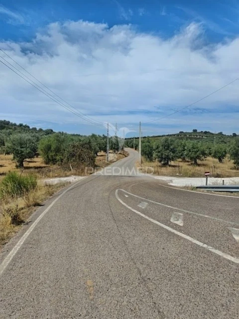 Terreno para Venda em Nossa Senhora da Conceição e São Bartolomeu