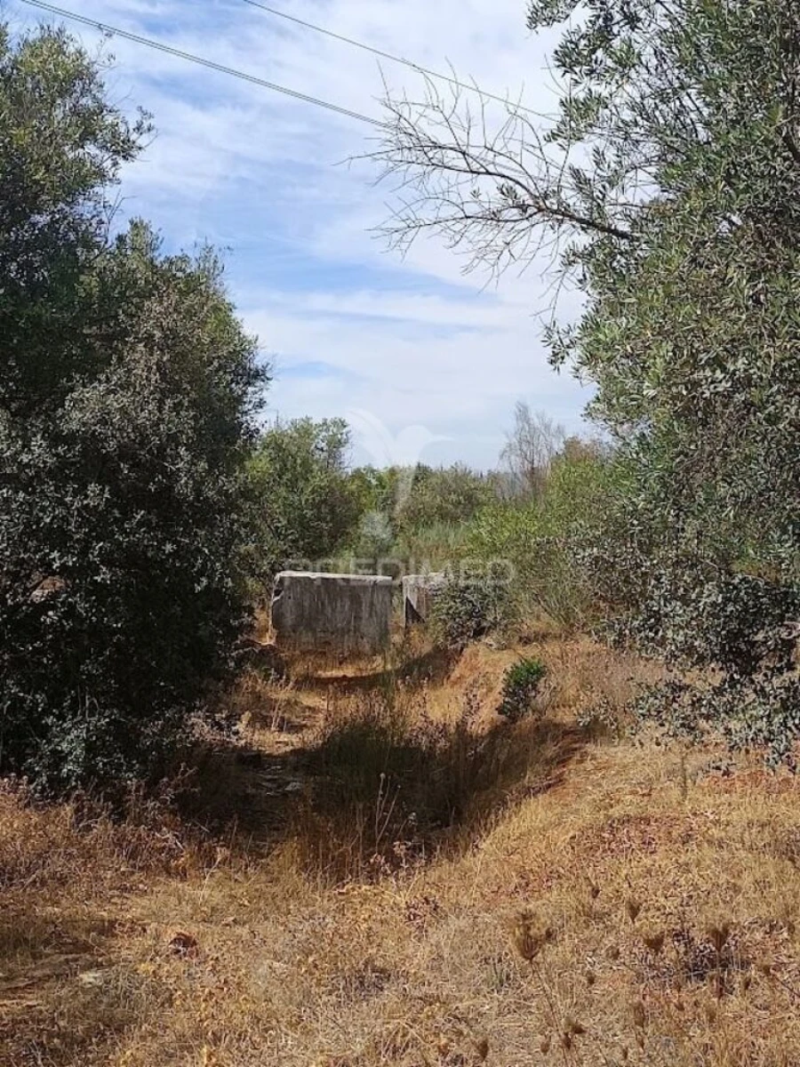 Terreno para Venda em Nossa Senhora da Conceição e São Bartolomeu Foto 6
