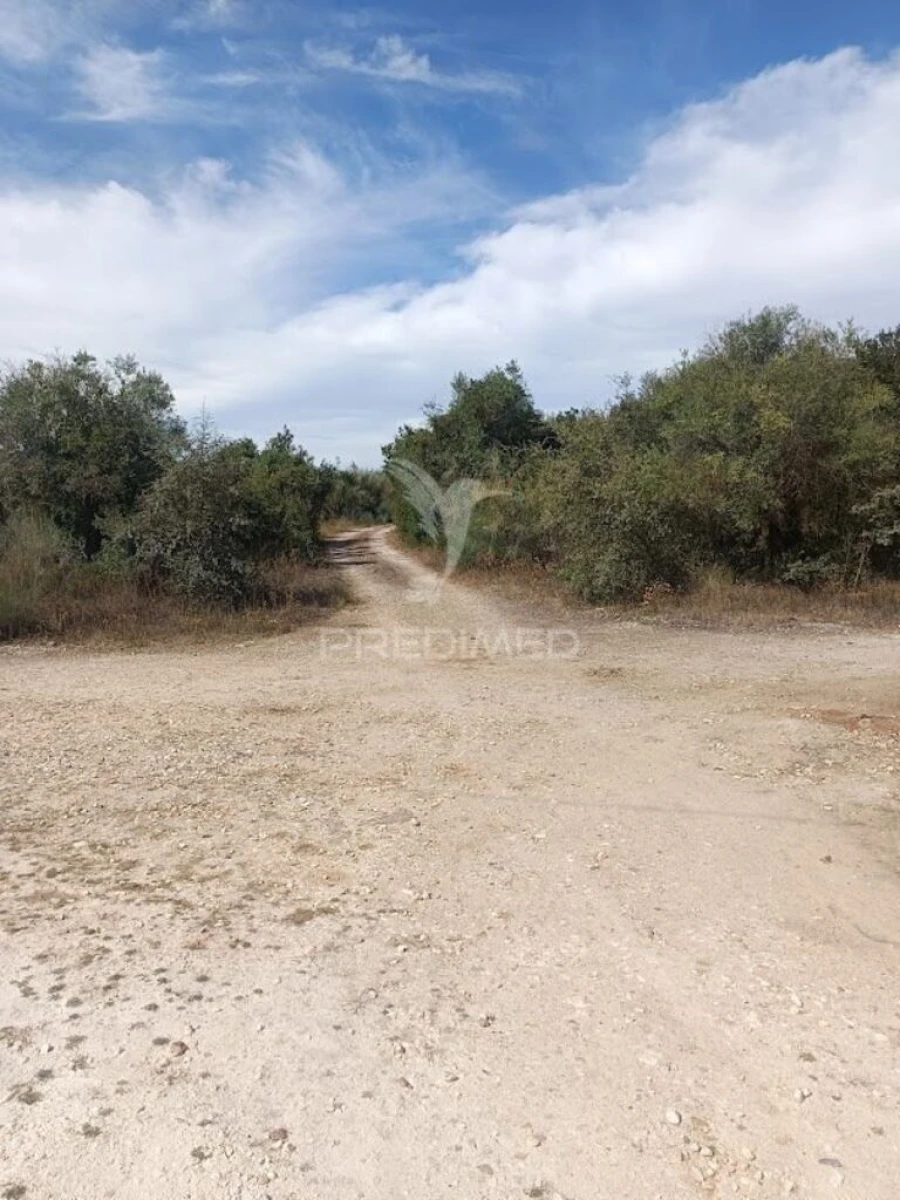 Terreno para Venda em Nossa Senhora da Conceição e São Bartolomeu Foto 4