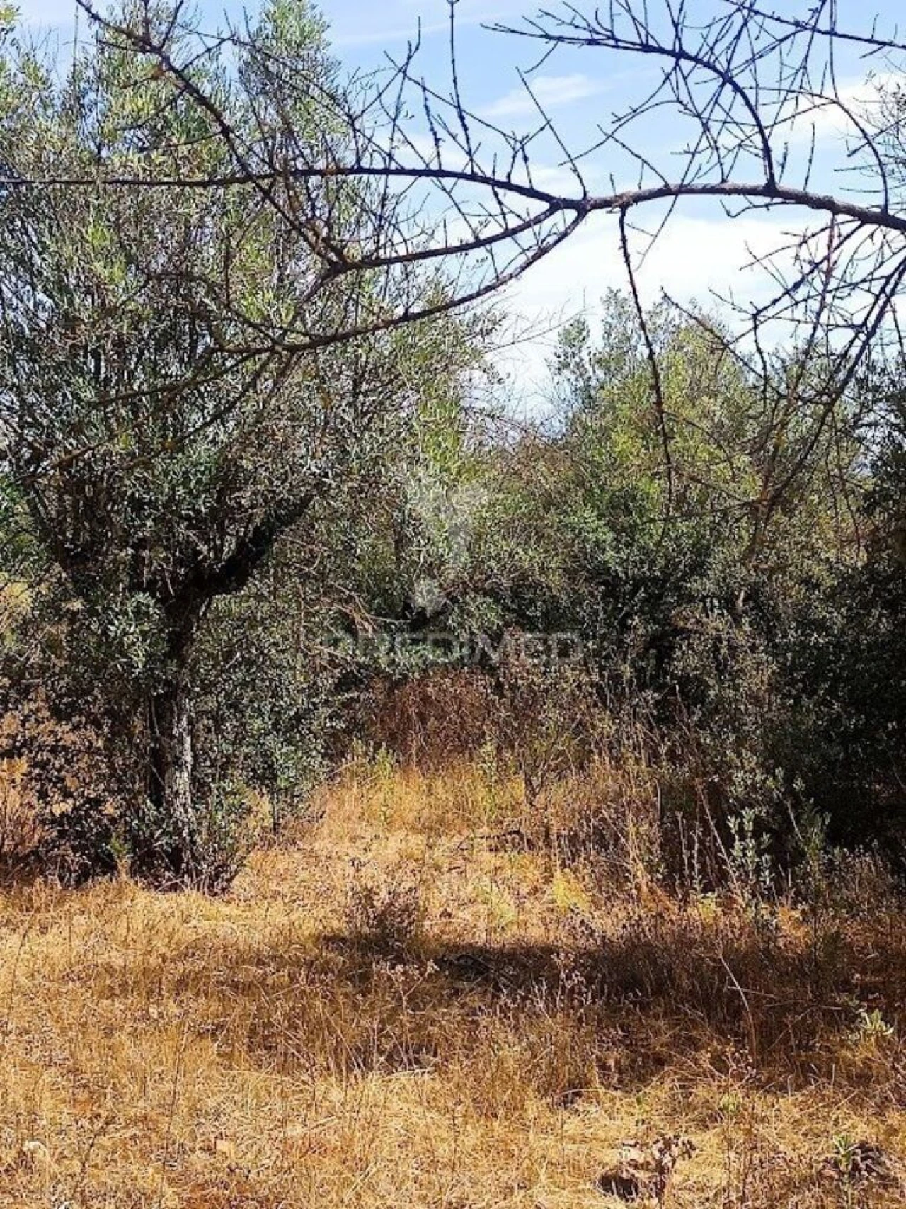 Terreno para Venda em Nossa Senhora da Conceição e São Bartolomeu Foto 11
