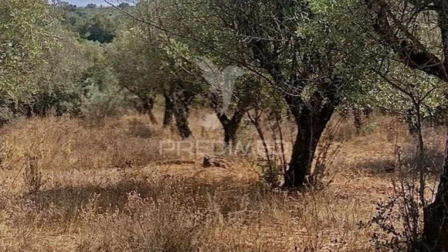 Terreno para Venda em Nossa Senhora da Conceição e São Bartolomeu