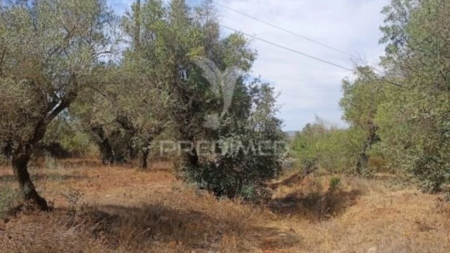 Terreno para Venda em Nossa Senhora da Conceição e São Bartolomeu