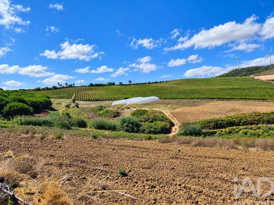 Quinta T3 para Venda em Dois Portos e Runa Foto 2