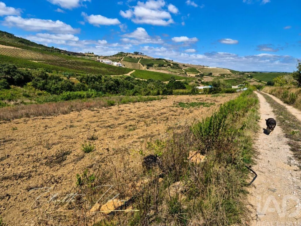 Quinta T3 para Venda em Dois Portos e Runa Foto 29