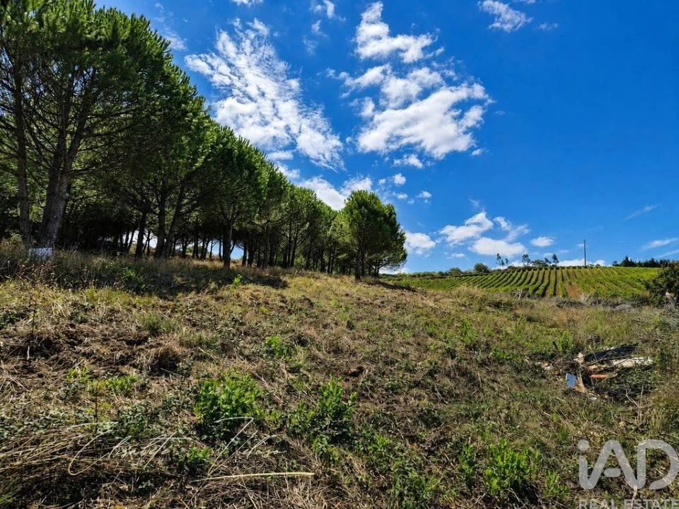Quinta T3 para Venda em Dois Portos e Runa Foto 20