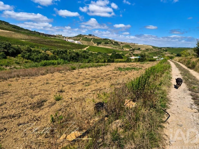 Quinta T3 para Venda em Dois Portos e Runa Foto 29