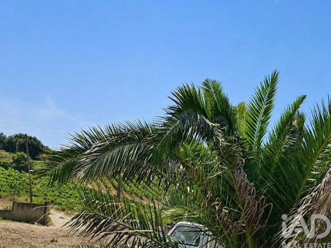 Quinta T3 para Venda em Dois Portos e Runa Foto 22