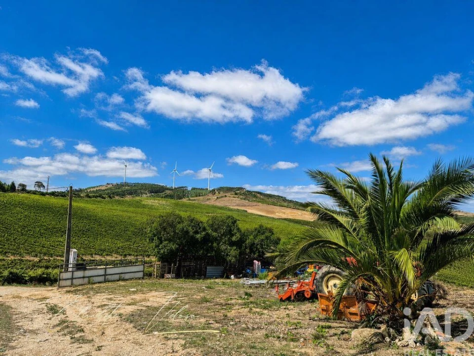 Quinta T3 para Venda em Dois Portos e Runa Foto 24