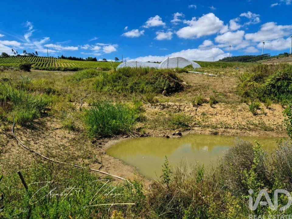 Quinta T3 para Venda em Dois Portos e Runa Foto 18