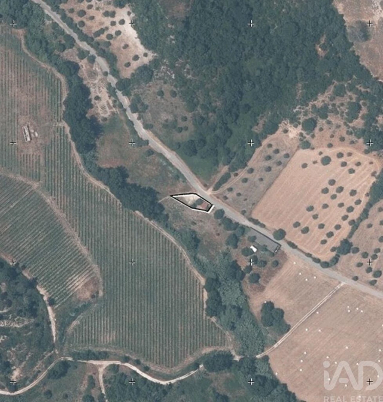 Quinta para Venda em Pernes Foto 38