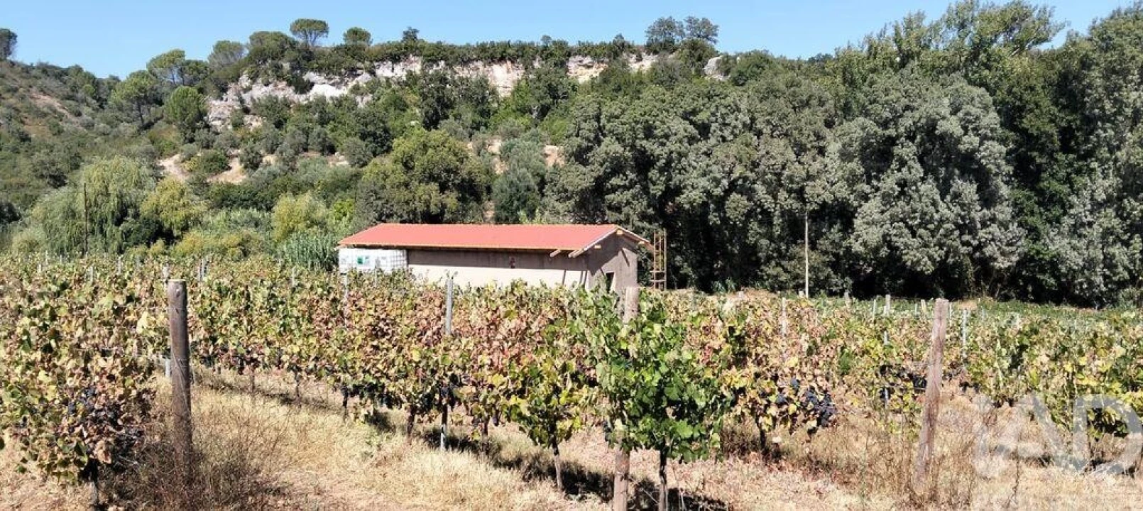 Quinta para Venda em Pernes Foto 27