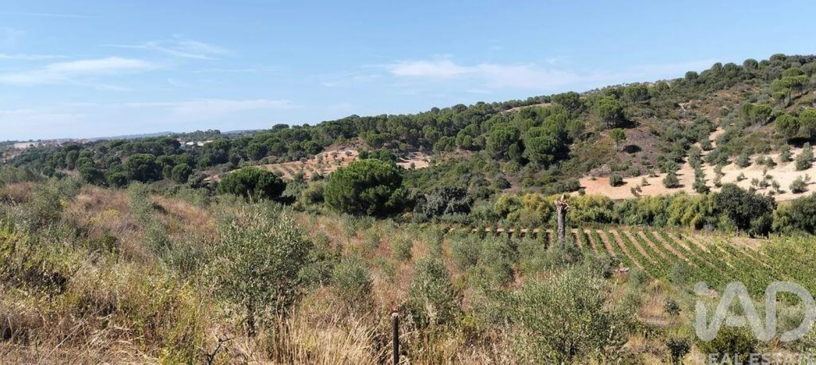 Quinta para Venda em Pernes Foto 24