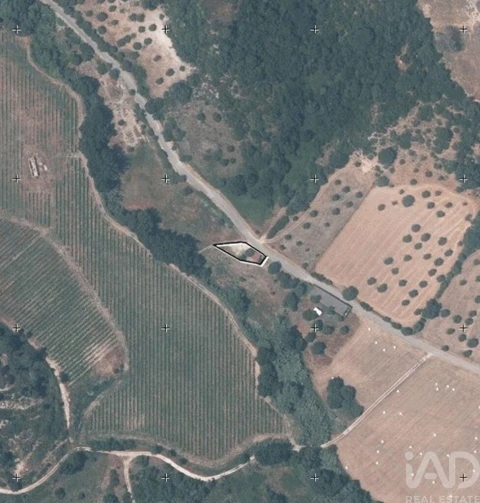 Quinta para Venda em Pernes