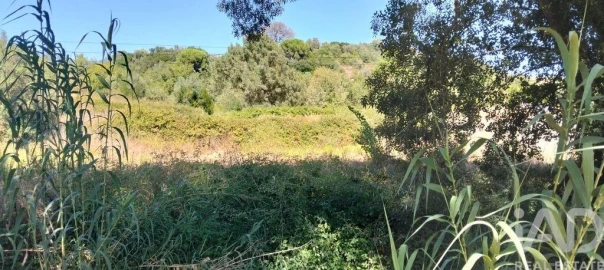 Quinta para Venda em Pernes